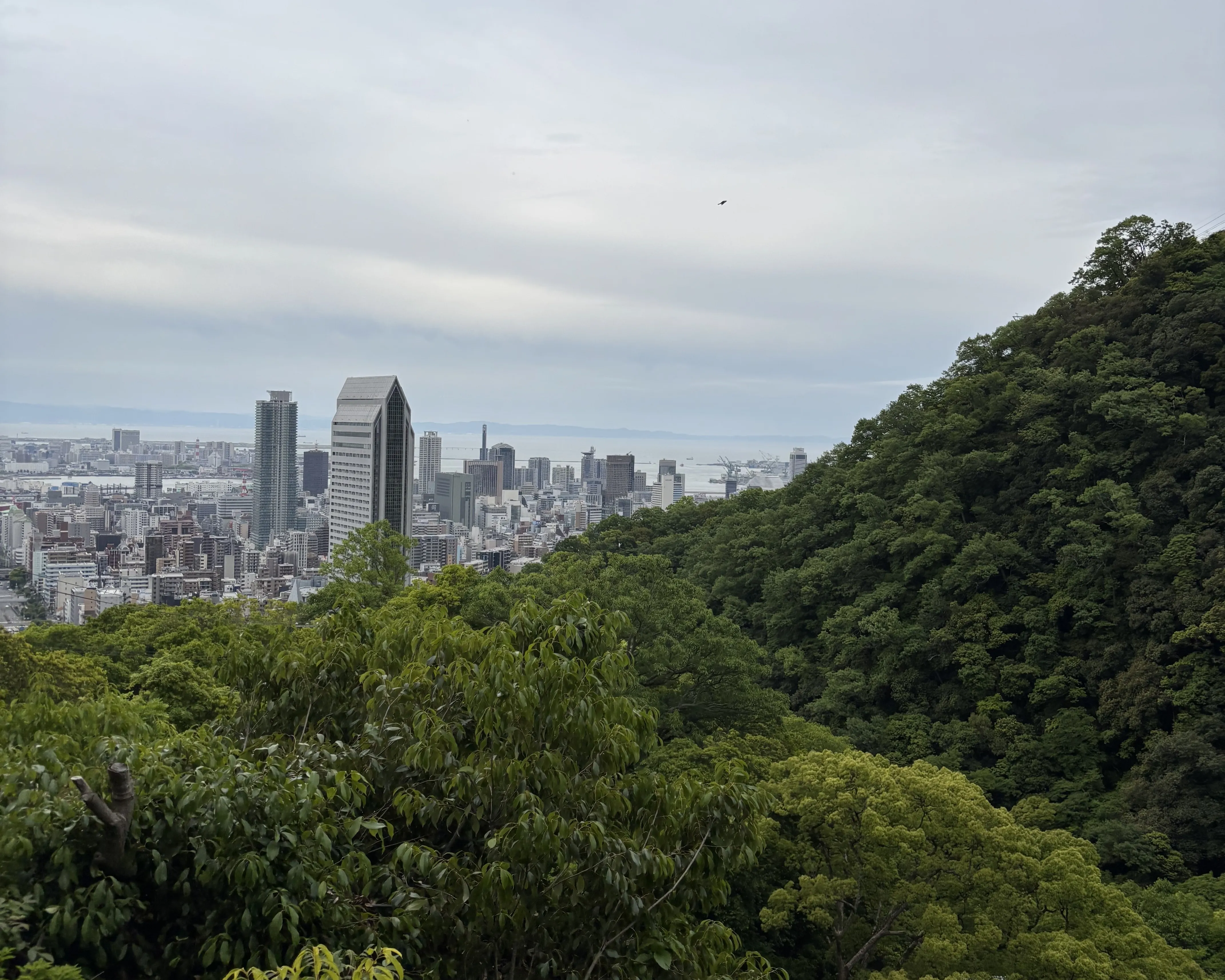市ケ原テラス